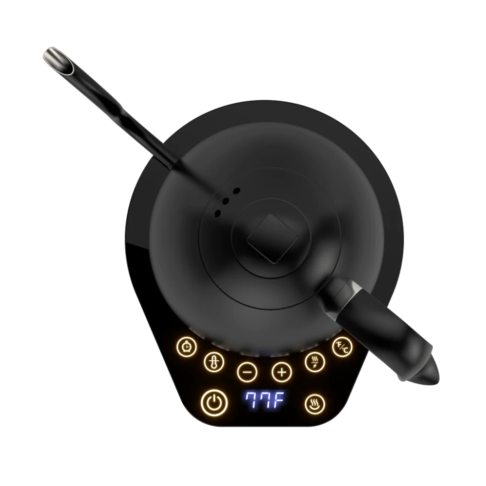 Brewista Artisan Gooseneck Variable Kettle